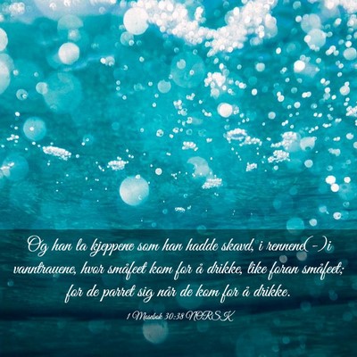Picture 03 - 1 Mosebok 30:38 NORSK - Og han la kjeppene som han hadde skavd, i - Bible Verse Picture