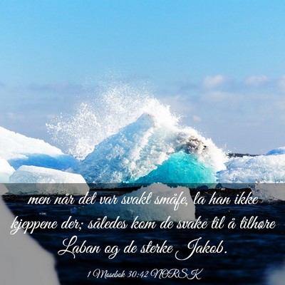 Picture 03 - 1 Mosebok 30:42 NORSK - men når det var svakt småfe, la han ikke - Bible Verse Picture