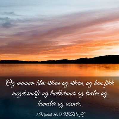 Picture 03 - 1 Mosebok 30:43 NORSK - Og mannen blev rikere og rikere, og han fikk - Bible Verse Picture