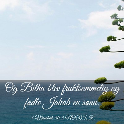 Picture 03 - 1 Mosebok 30:5 NORSK - Og Bilha blev fruktsommelig og fødte Jakob en - Bible Verse Picture