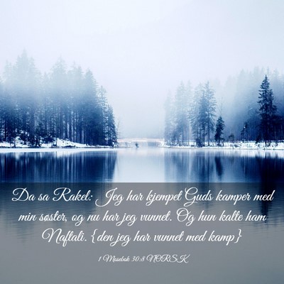 Picture 03 - 1 Mosebok 30:8 NORSK - Da sa Rakel: Jeg har kjempet Guds kamper med min - Bible Verse Picture
