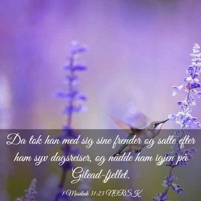 Picture 03 - 1 Mosebok 31:23 NORSK - Da tok han med sig sine frender og satte efter - Bible Verse Picture