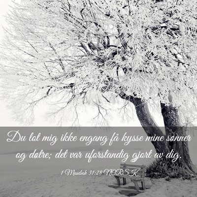 Picture 03 - 1 Mosebok 31:28 NORSK - Du lot mig ikke engang få kysse mine sønner og - Bible Verse Picture