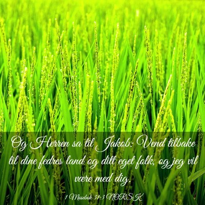 Picture 03 - 1 Mosebok 31:3 NORSK - Og Herren sa til Jakob: Vend tilbake til dine - Bible Verse Picture