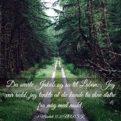 Picture 03 - 1 Mosebok 31:31 NORSK - Da svarte Jakob og sa til Laban: Jeg var redd; - Bible Verse Picture