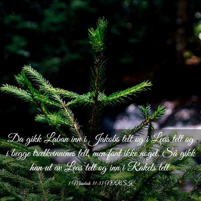 Picture 03 - 1 Mosebok 31:33 NORSK - Da gikk Laban inn i Jakobs telt og i Leas telt og - Bible Verse Picture