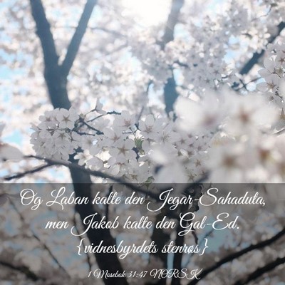 Picture 03 - 1 Mosebok 31:47 NORSK - Og Laban kalte den Jegar-Sahaduta, men Jakob - Bible Verse Picture