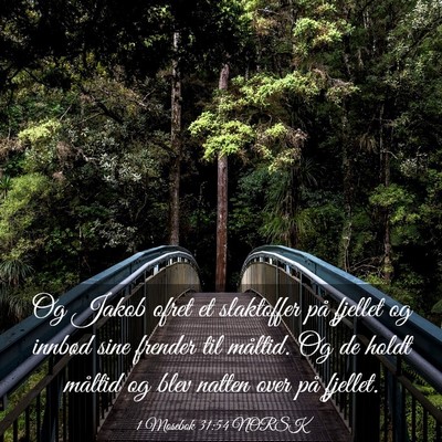 Picture 03 - 1 Mosebok 31:54 NORSK - Og Jakob ofret et slaktoffer på fjellet og - Bible Verse Picture