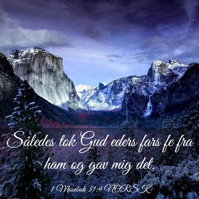 Picture 03 - 1 Mosebok 31:9 NORSK - Således tok Gud eders fars fe fra ham og gav mig - Bible Verse Picture