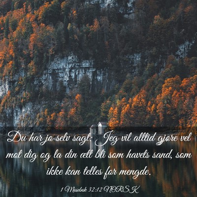 Picture 03 - 1 Mosebok 32:12 NORSK - Du har jo selv sagt: Jeg vil alltid gjøre vel - Bible Verse Picture