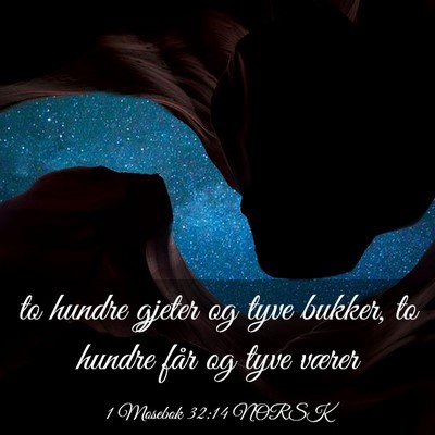 Picture 03 - 1 Mosebok 32:14 NORSK - to hundre gjeter og tyve bukker, to hundre får - Bible Verse Picture