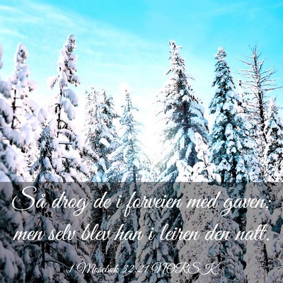 Picture 03 - 1 Mosebok 32:21 NORSK - Så drog de i forveien med gaven; men selv blev - Bible Verse Picture