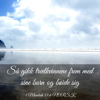 Picture 03 - 1 Mosebok 33:6 NORSK - Så gikk trælkvinnene frem med sine barn og - Bible Verse Picture