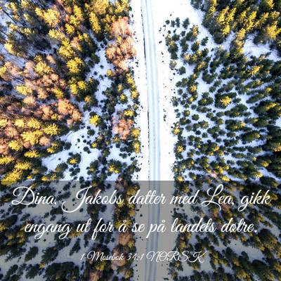 Picture 03 - 1 Mosebok 34:1 NORSK - Dina, Jakobs datter med Lea, gikk engang ut for - Bible Verse Picture