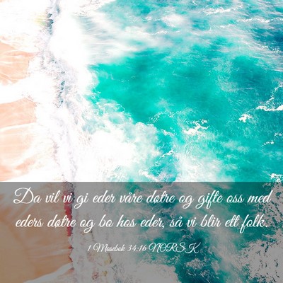 Picture 03 - 1 Mosebok 34:16 NORSK - Da vil vi gi eder våre døtre og gifte oss med - Bible Verse Picture