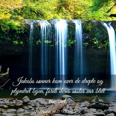 Picture 03 - 1 Mosebok 34:27 NORSK - Jakobs sønner kom over de drepte og plyndret - Bible Verse Picture