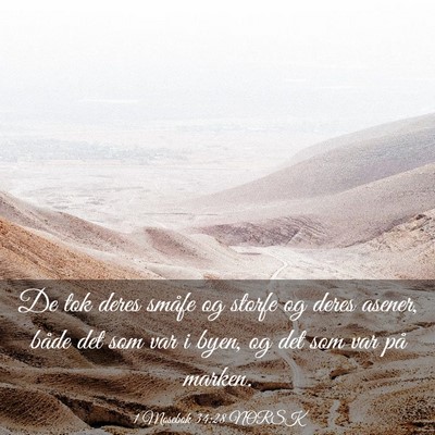 Picture 03 - 1 Mosebok 34:28 NORSK - De tok deres småfe og storfe og deres asener, - Bible Verse Picture