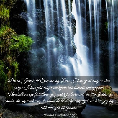 Picture 03 - 1 Mosebok 34:30 NORSK - Da sa Jakob til Simeon og Levi: I har gjort mig - Bible Verse Picture