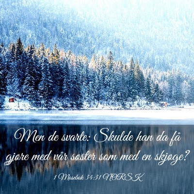 Picture 03 - 1 Mosebok 34:31 NORSK - Men de svarte: Skulde han da få gjøre med vår - Bible Verse Picture