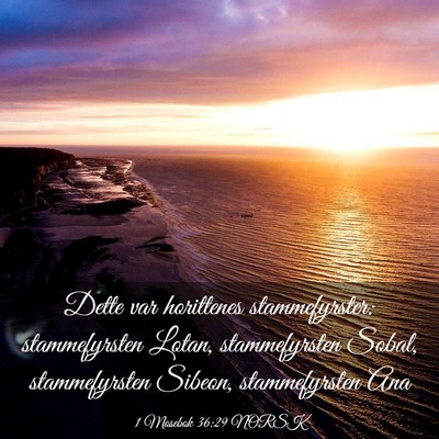 Picture 03 - 1 Mosebok 36:29 NORSK - Dette var horittenes stammefyrster: stammefyrsten - Bible Verse Picture