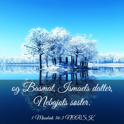 Picture 03 - 1 Mosebok 36:3 NORSK - og Basmat, Ismaels datter, Nebajots - Bible Verse Picture