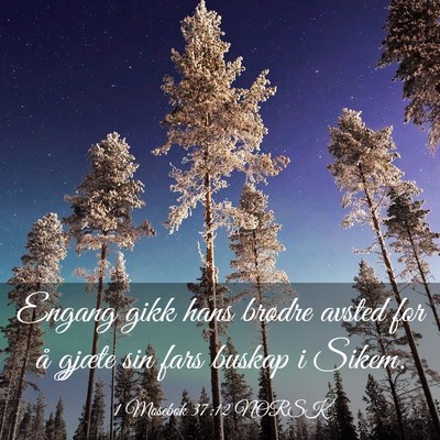 Picture 03 - 1 Mosebok 37:12 NORSK - Engang gikk hans brødre avsted for å gjæte sin - Bible Verse Picture