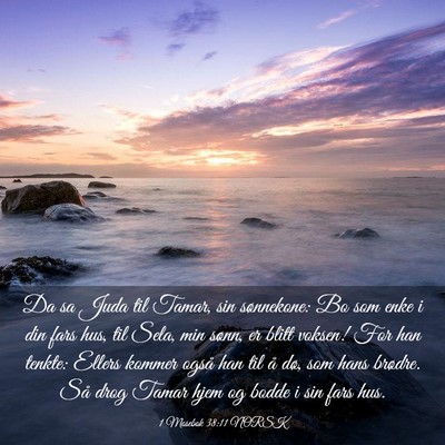 Picture 03 - 1 Mosebok 38:11 NORSK - Da sa Juda til Tamar, sin sønnekone: Bo som enke - Bible Verse Picture