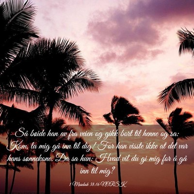 Picture 03 - 1 Mosebok 38:16 NORSK - Så bøide han av fra veien og gikk bort til - Bible Verse Picture