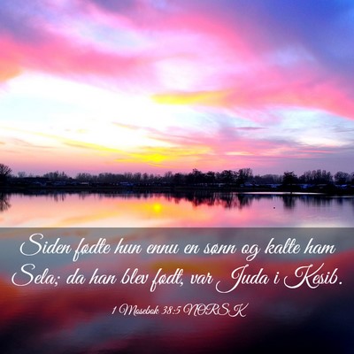 Picture 03 - 1 Mosebok 38:5 NORSK - Siden fødte hun ennu en sønn og kalte ham Sela; - Bible Verse Picture