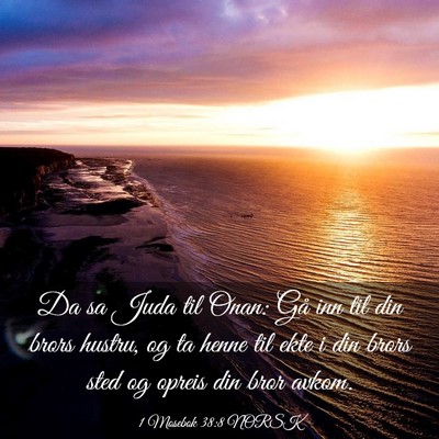 Picture 03 - 1 Mosebok 38:8 NORSK - Da sa Juda til Onan: Gå inn til din brors - Bible Verse Picture