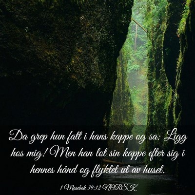 Picture 03 - 1 Mosebok 39:12 NORSK - Da grep hun fatt i hans kappe og sa: Ligg hos - Bible Verse Picture