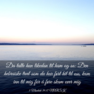 Picture 03 - 1 Mosebok 39:17 NORSK - Da talte hun likedan til ham og sa: Den hebraiske - Bible Verse Picture