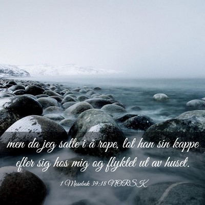 Picture 03 - 1 Mosebok 39:18 NORSK - men da jeg satte i å rope, lot han sin kappe - Bible Verse Picture