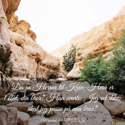 Picture 03 - 1 Mosebok 4:9 NORSK - Da sa Herren til Kain: Hvor er Abel, din bror? - Bible Verse Picture