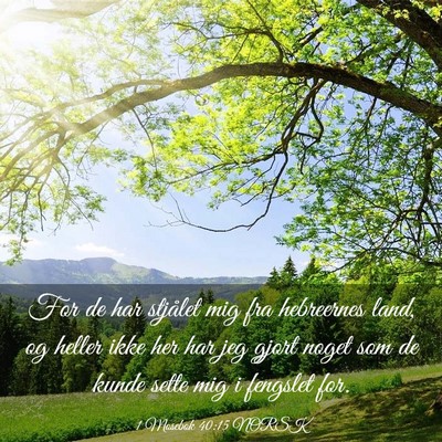 Picture 03 - 1 Mosebok 40:15 NORSK - For de har stjålet mig fra hebreernes land, og - Bible Verse Picture