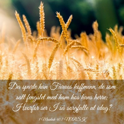 Picture 03 - 1 Mosebok 40:7 NORSK - Da spurte han Faraos hoffmenn, de som satt - Bible Verse Picture