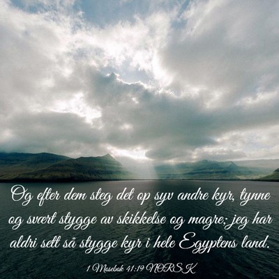 Picture 03 - 1 Mosebok 41:19 NORSK - Og efter dem steg det op syv andre kyr, tynne og - Bible Verse Picture