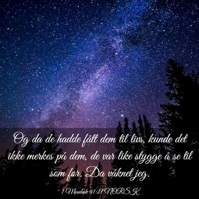 Picture 03 - 1 Mosebok 41:21 NORSK - Og da de hadde fått dem til livs, kunde det ikke - Bible Verse Picture