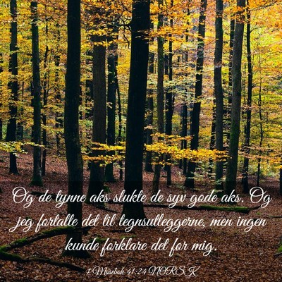 Picture 03 - 1 Mosebok 41:24 NORSK - Og de tynne aks slukte de syv gode aks. Og jeg - Bible Verse Picture