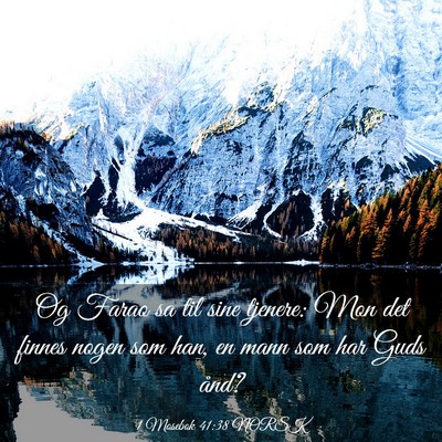 Picture 03 - 1 Mosebok 41:38 NORSK - Og Farao sa til sine tjenere: Mon det finnes - Bible Verse Picture