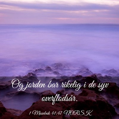 Picture 03 - 1 Mosebok 41:47 NORSK - Og jorden bar rikelig i de syv - Bible Verse Picture