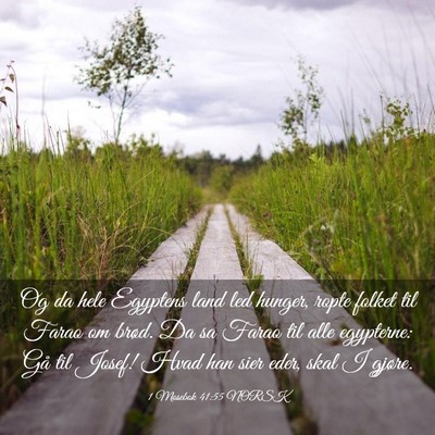 Picture 03 - 1 Mosebok 41:55 NORSK - Og da hele Egyptens land led hunger, ropte folket - Bible Verse Picture