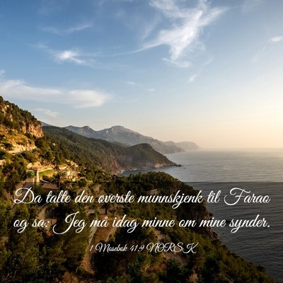 Picture 03 - 1 Mosebok 41:9 NORSK - Da talte den øverste munnskjenk til Farao og sa: - Bible Verse Picture