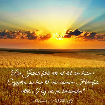 Picture 03 - 1 Mosebok 42:1 NORSK - Da Jakob fikk vite at det var korn i Egypten, sa - Bible Verse Picture