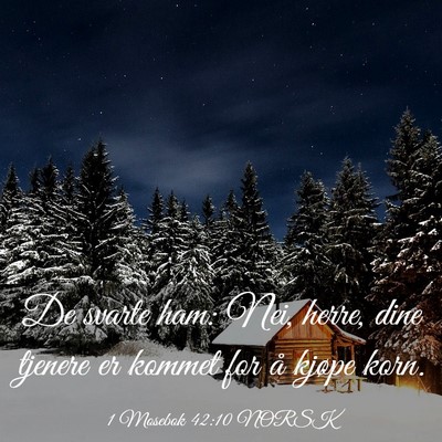 Picture 03 - 1 Mosebok 42:10 NORSK - De svarte ham: Nei, herre, dine tjenere er kommet - Bible Verse Picture