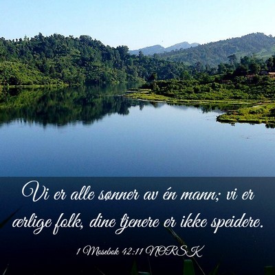 Picture 03 - 1 Mosebok 42:11 NORSK - Vi er alle sønner av én mann; vi er ærlige - Bible Verse Picture