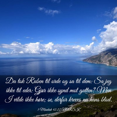 Picture 03 - 1 Mosebok 42:22 NORSK - Da tok Ruben til orde og sa til dem: Sa jeg ikke - Bible Verse Picture