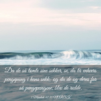 Picture 03 - 1 Mosebok 42:35 NORSK - Da de så tømte sine sekker, se, da lå enhvers - Bible Verse Picture