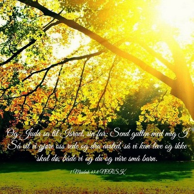 Picture 03 - 1 Mosebok 43:8 NORSK - Og Juda sa til Israel, sin far: Send gutten med - Bible Verse Picture
