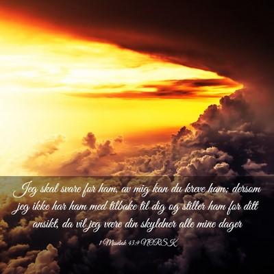 Picture 03 - 1 Mosebok 43:9 NORSK - Jeg skal svare for ham, av mig kan du kreve ham; - Bible Verse Picture